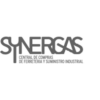 Logo Synergas España