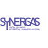 synergas_es